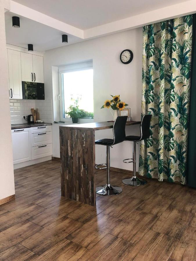 Dom Na Borowkowym Wzgorzu Apartment Palesnica Екстериор снимка