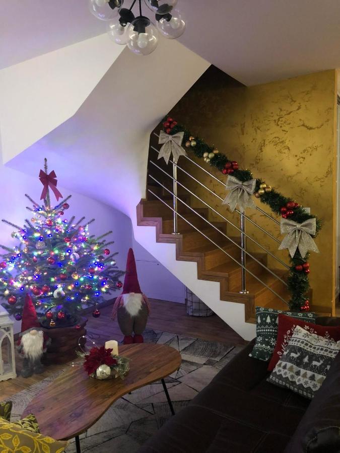 Dom Na Borowkowym Wzgorzu Apartment Palesnica Екстериор снимка