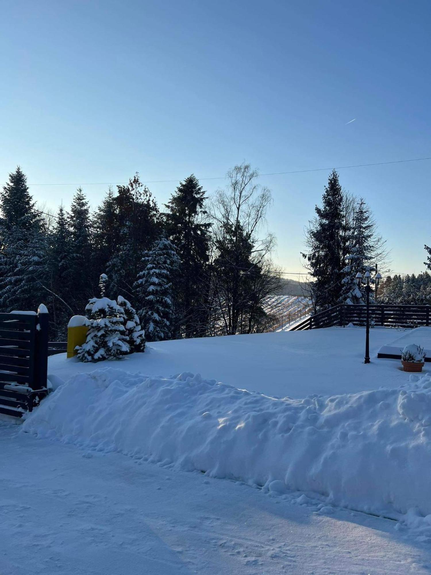 Dom Na Borowkowym Wzgorzu Apartment Palesnica Екстериор снимка